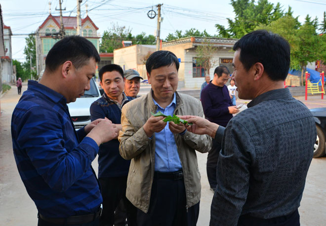 B90_3501_爱奇艺.jpg