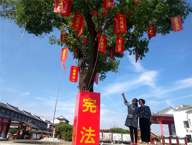 树法2.jpg